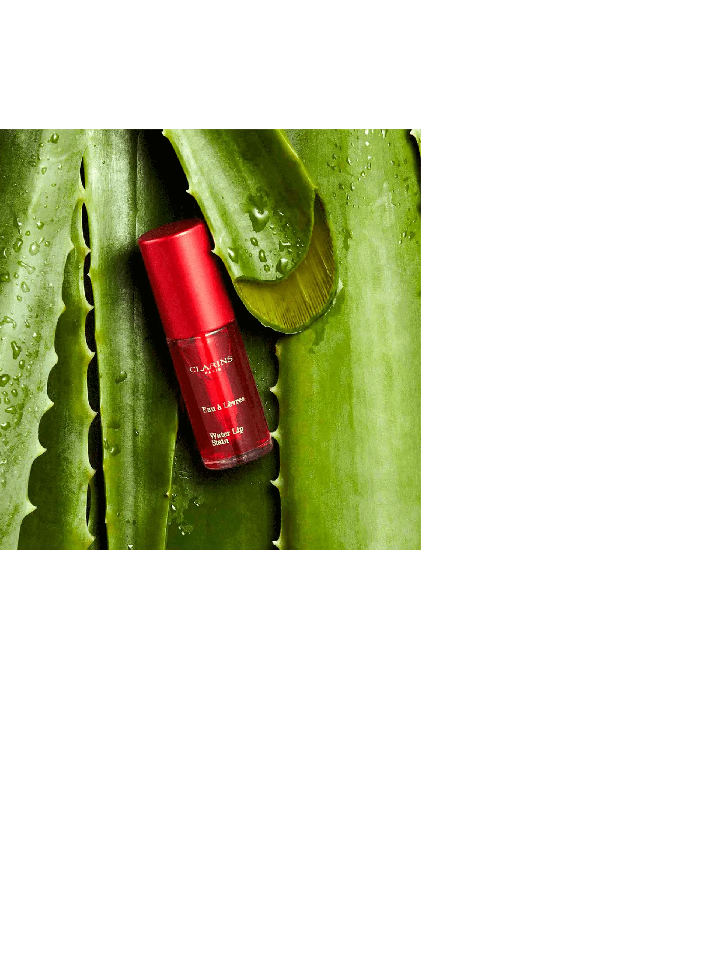 CLARINS  Water Lip Stain - Lipstick - Red