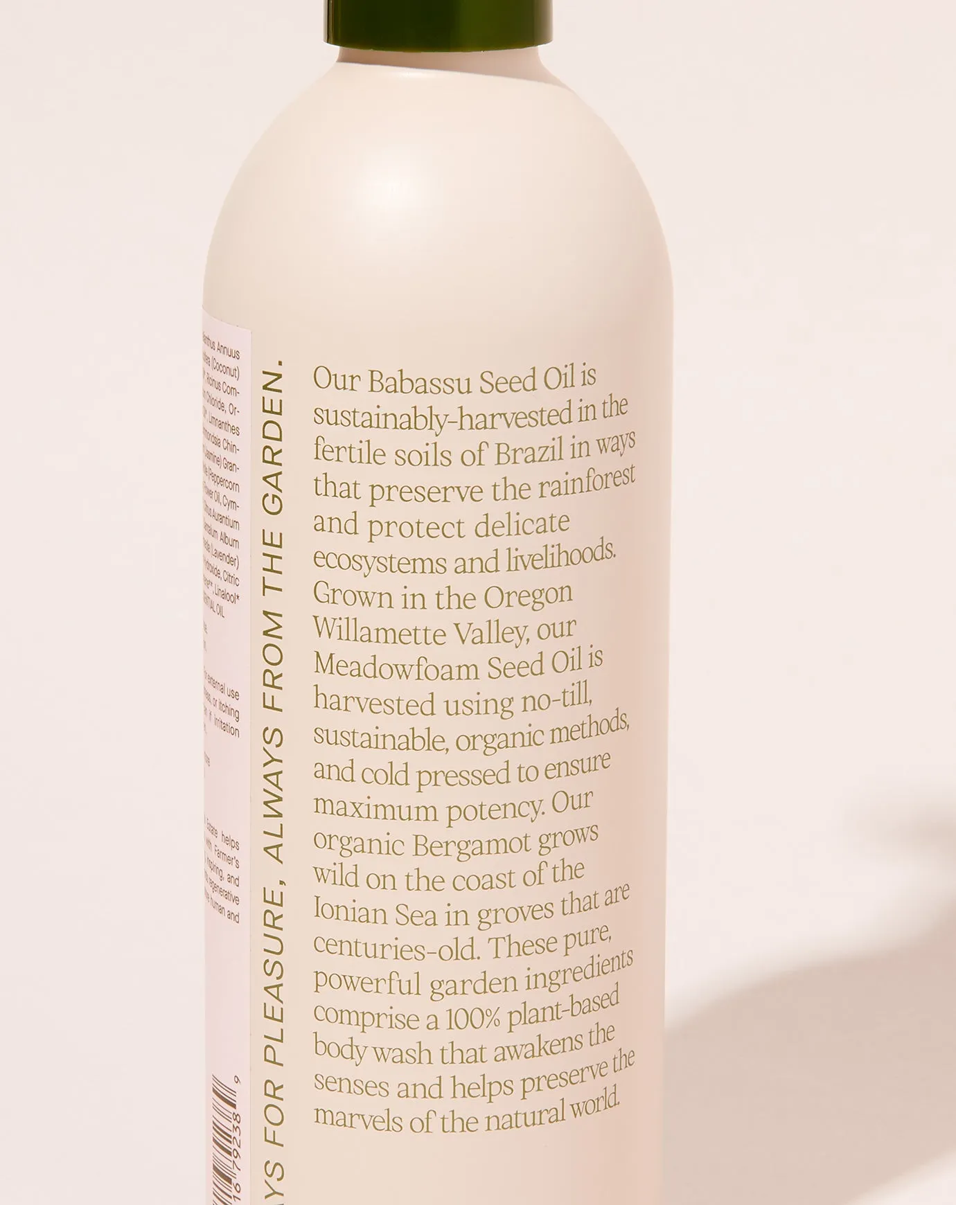 Night Blooming Jasmine & Damask Rose Body Wash